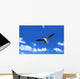 Flying Seagull