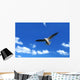 Flying Seagull