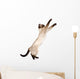 Playful Funny Kitten Wall Decal