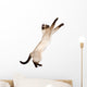 Playful Funny Kitten Wall Decal