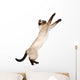 Playful Funny Kitten Wall Decal