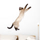 Playful Funny Kitten Wall Decal