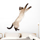 Playful Funny Kitten Wall Decal