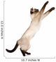 Playful Funny Kitten Wall Decal