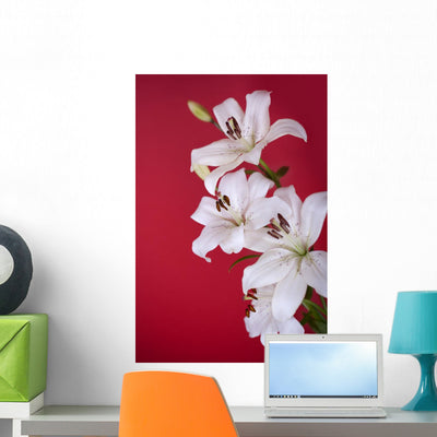 White Lily Red Wall Mural shown on a wall
