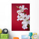 white lily isolated on red Wall Mural