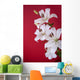 white lily isolated on red Wall Mural