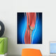 Knee Anatomy