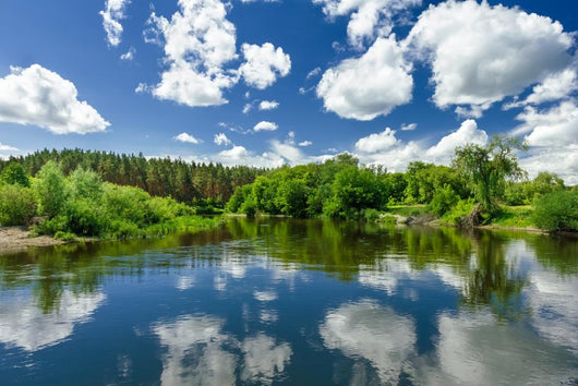 Forest Lake