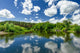 Forest Lake