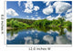Forest Lake