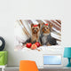 Yorkshire Terriers Wall Mural