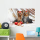 Yorkshire Terriers Wall Mural