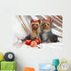 Yorkshire Terriers Wall Mural