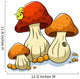 Mushroom and Caterpillar