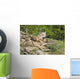 Gray Wolves Wall Mural