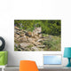 Gray Wolves Wall Mural