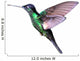 Buff-Winged Starfrontlet Hummingbird Wall Decal
