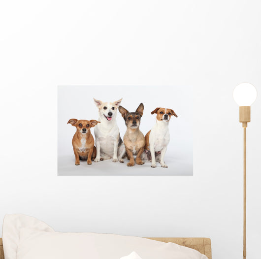 Mongrel Gang Wall Decal