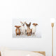 Mongrel Gang Wall Decal