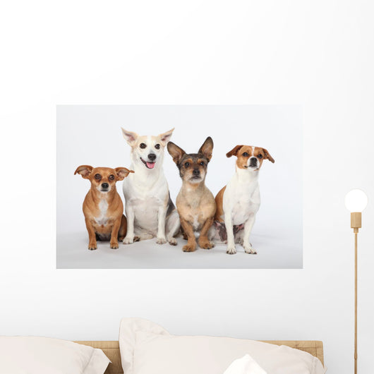 Mongrel Gang Wall Decal