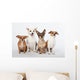 Mongrel Gang Wall Decal