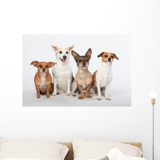 Mongrel Gang Wall Decal