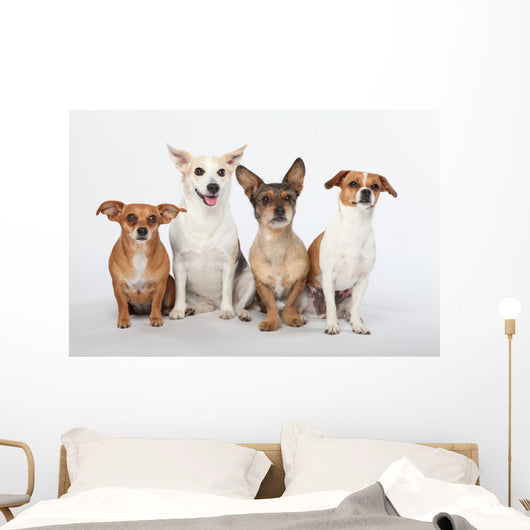 Mongrel Gang Wall Decal