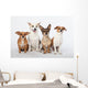 Mongrel Gang Wall Decal