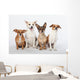 Mongrel Gang Wall Decal