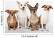 Mongrel Gang Wall Decal