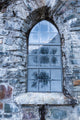 Church Window