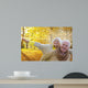 Best Ager Autumn