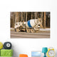 concrete carrier truck of trucks series Wall Mural