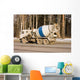 concrete carrier truck of trucks series Wall Mural