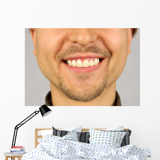 Male Mouth with Smile Wall Mural