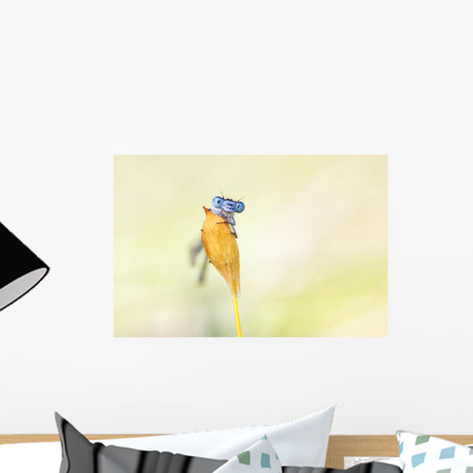 Demselfly Wall Mural