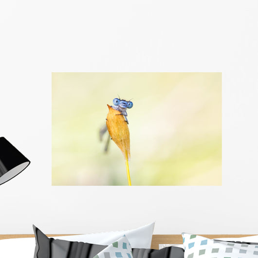 Demselfly Wall Mural