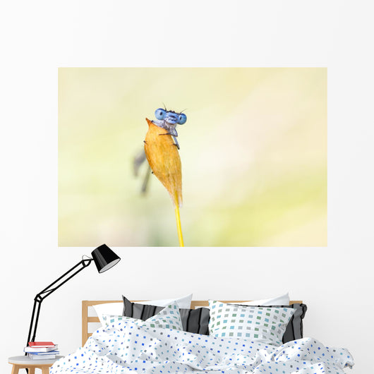 Demselfly Wall Mural