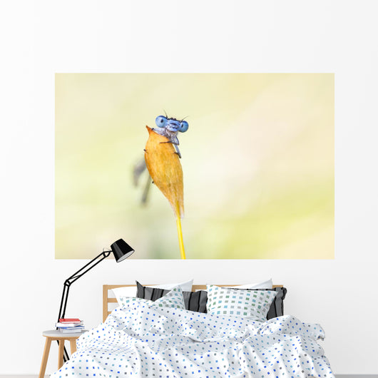 Demselfly Wall Mural