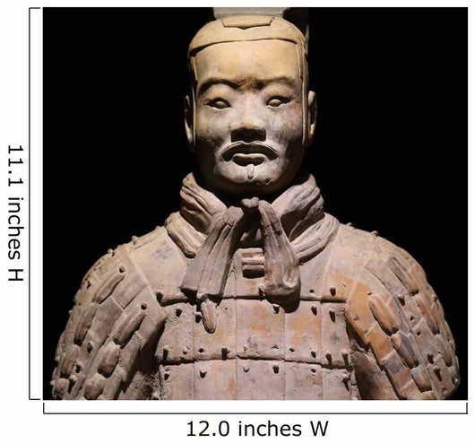 Terracotta Warrior