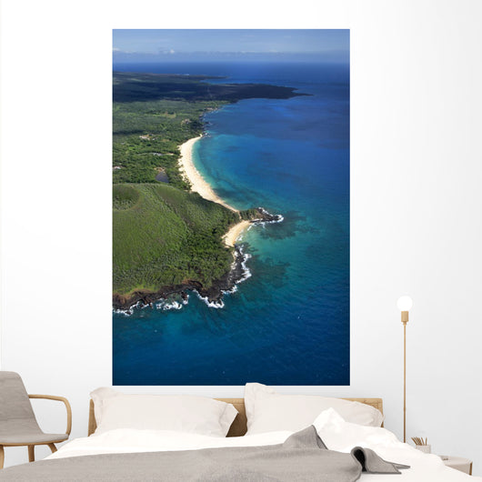 Beach Hawaii