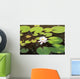 White water lily Wall Mural