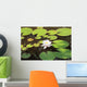 White water lily Wall Mural