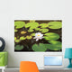 White water lily Wall Mural