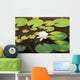 White water lily Wall Mural