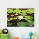 White water lily Wall Mural