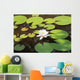 White water lily Wall Mural
