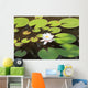 White water lily Wall Mural