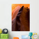 Lower Antelope Slot Canyon Wall Mural